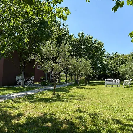 Tiny House 1 - Imanje Terzic Podgorica