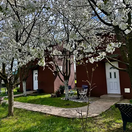 Tiny House 1 - Imanje Terzic Lejlighed