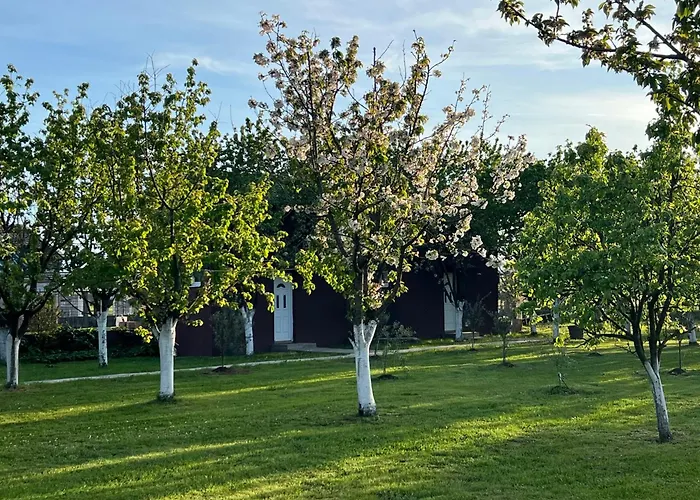 Tiny House 1 - Imanje Terzic Lejlighed Podgorica