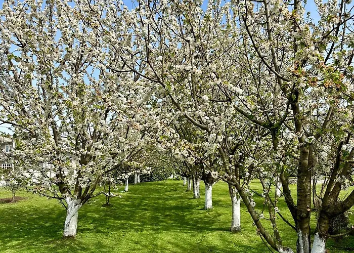 Tiny House 1 - Imanje Terzic Lejlighed *