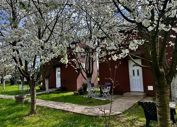 Tiny House 1 - Imanje Terzic Lejlighed