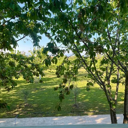 Apartman Tiny House 1 - Imanje Terzic