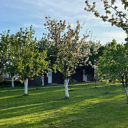 Tiny House 1 - Imanje Terzic Apartman Podgorica